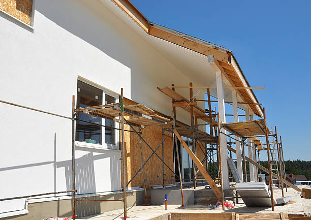 Professional Mold Removal in Lake Morton Berrydale, WA